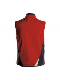 Dassy softshell vest Fusion